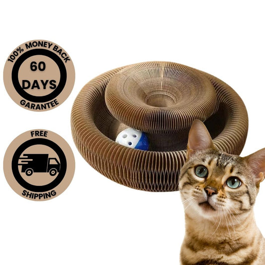 PlaySphere™ Interactive Cat Toy