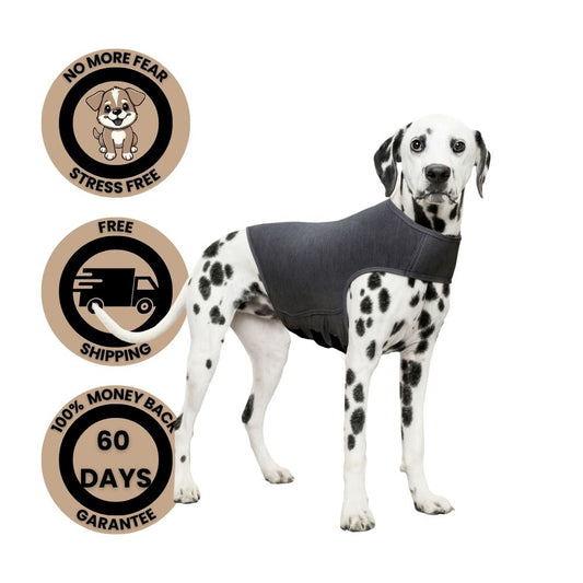 VestCalm™ The Hug that heals.