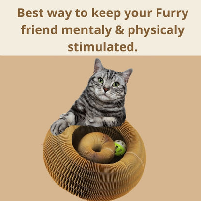 PlaySphere™ Interactive Cat Toy