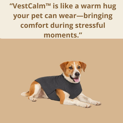 VestCalm™ The Hug that heals.