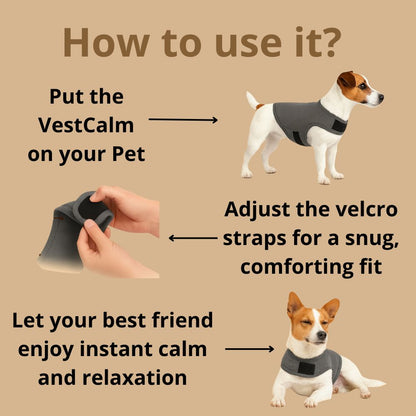 VestCalm™ The Hug that heals.